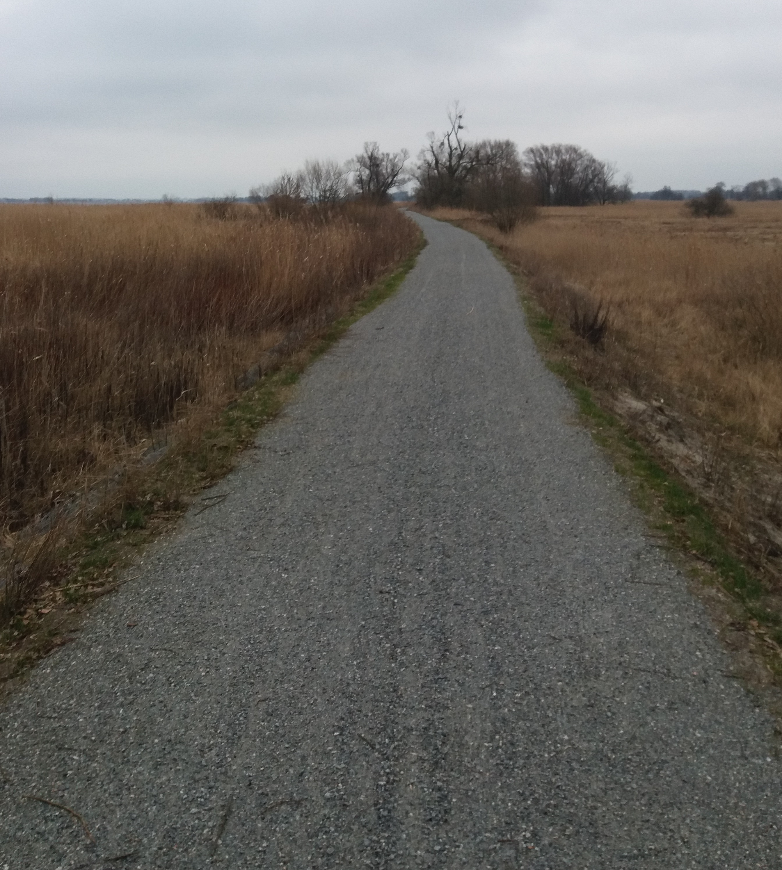 „Zaprojektowanie i wykonanie szlaku rowerowego na wale przeciwpowodziowym wzdłuż rzeki Chełszcząca i jeziora Dąbie”.