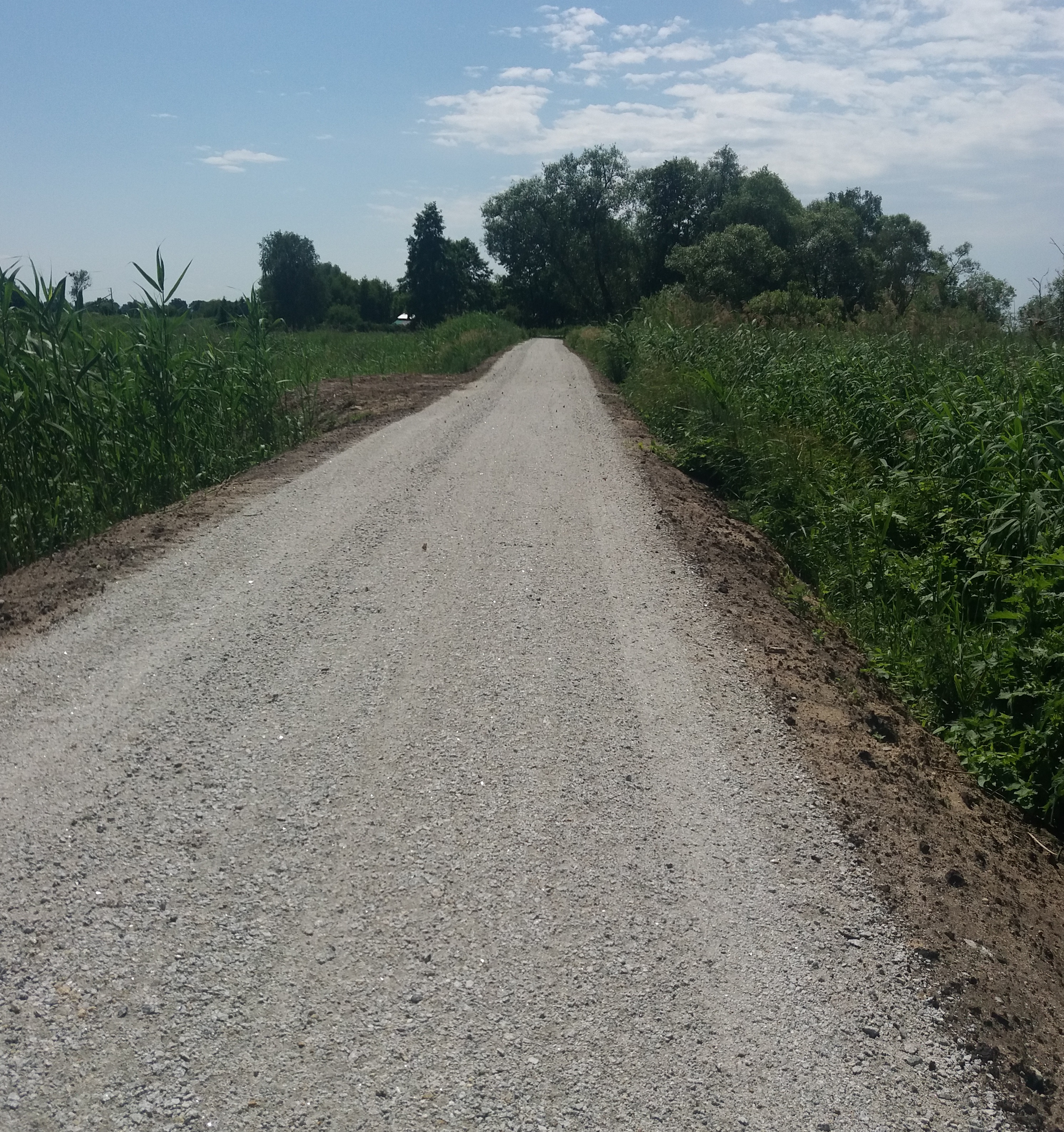 „Zaprojektowanie i wykonanie szlaku rowerowego na wale przeciwpowodziowym wzdłuż rzeki Chełszcząca i jeziora Dąbie”. „Zaprojektowanie i wykonanie szlaku rowerowego na wale przeciwpowodziowym wzdłuż rzeki Chełszcząca i jeziora Dąbie”.