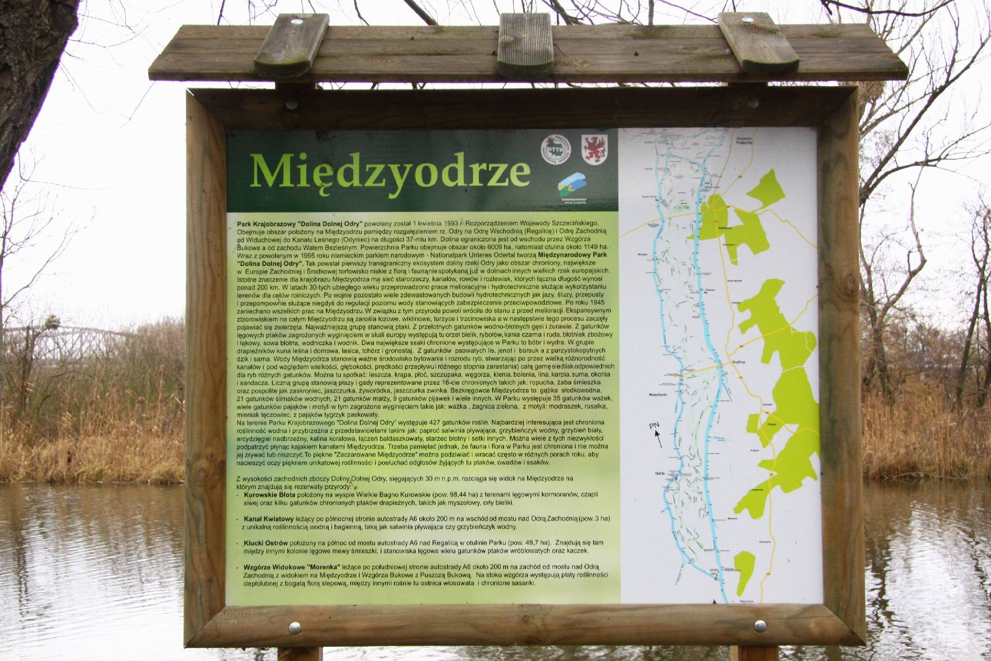 Fauna i flora Międzyodrza_2