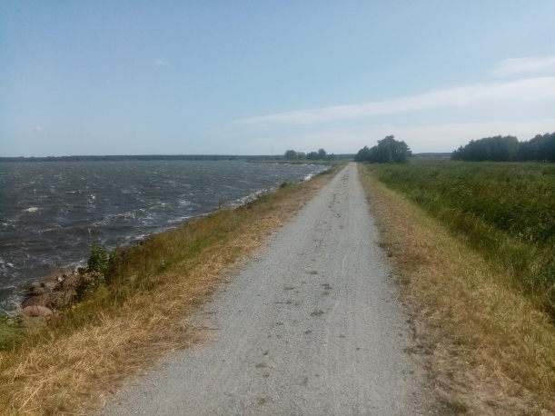 podsumowanie liczby rowerzystów na trasach rowerowych Pomorza Zachodniego podczas wakacji 2021 roku