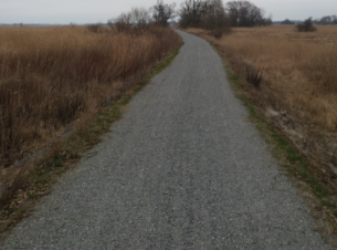 „Zaprojektowanie i wykonanie szlaku rowerowego na wale przeciwpowodziowym wzdłuż rzeki Chełszcząca i jeziora Dąbie”.